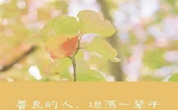 慈善捐活动总结5篇