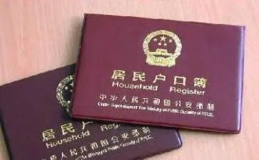 2胎上户口申请书参考5篇
