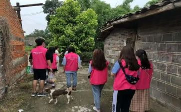 800字社会活动心得体会5篇