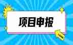 个人申报工作总结5篇