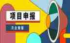 申报高级个人述职报告5篇