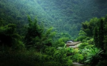 有一种声音在我记忆深处作文7篇