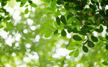 生活节演讲稿参考7篇