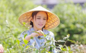 我的生活三分钟演讲稿6篇