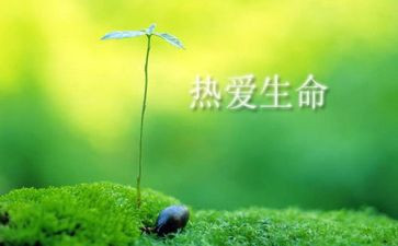 珍爱生命珍爱生命心得体会通用6篇