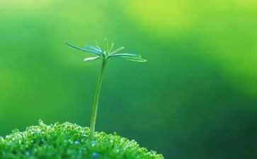 关于珍爱生命的作文7篇