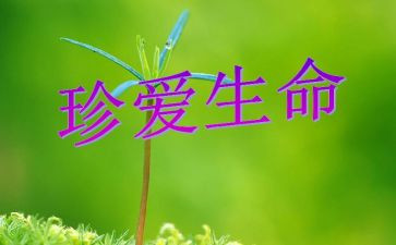 读生命的故事读后感6篇