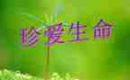 读生命的故事读后感6篇