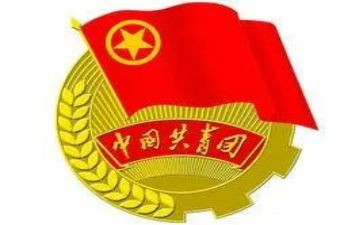 省团委工作述职报告5篇