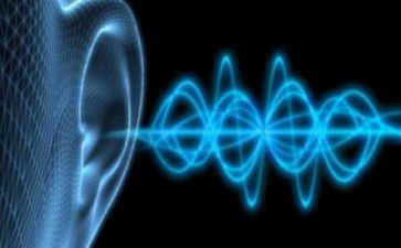 听声音的教案优质7篇