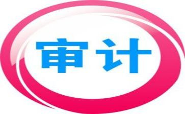 审计员个人总结模板8篇