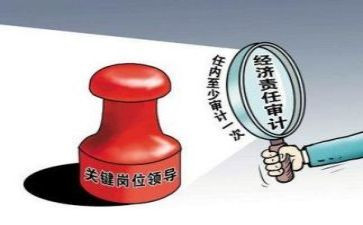 审计助理年终总结7篇
