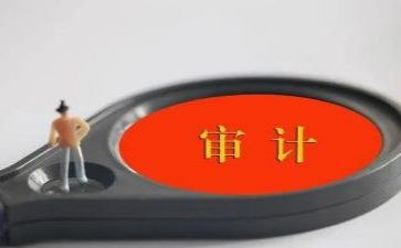 审计工作上半年总结5篇
