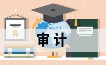 领导讲话稿之审计进点会讲话稿6篇
