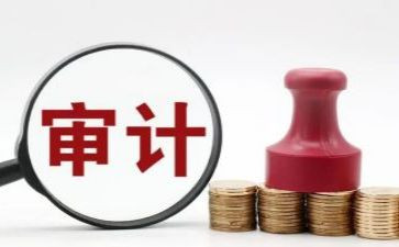 审计而工作总结优质5篇