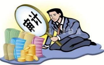 对审计的心得体会模板5篇