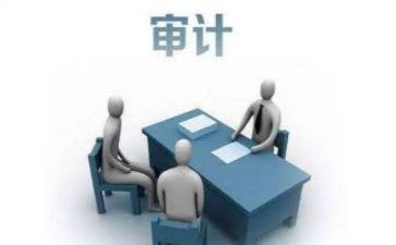 对审计的心得体会优秀5篇