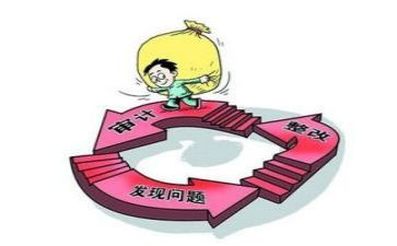 审计所述职报告7篇