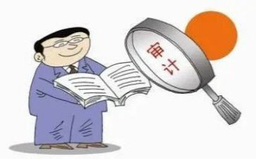 2024年审计工作半年总结5篇