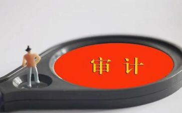 2024年审计干部述职报告7篇