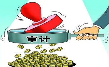 财务审计的工作总结8篇