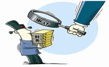 审计员的工作计划参考7篇