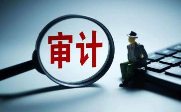 审计干部述职报告范文6篇