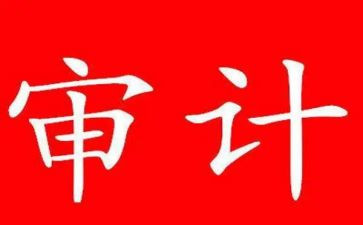 审计而工作总结通用6篇