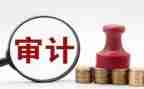 审计而工作总结优质5篇