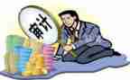 对审计的心得体会模板5篇