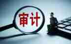 审计干部述职报告范文6篇