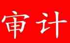 审计而工作总结通用6篇