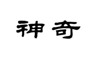 神奇探险的作文模板6篇