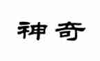 神奇探险的作文模板6篇