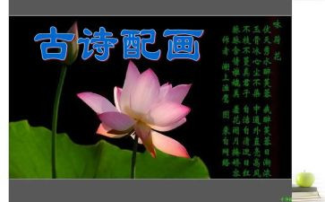 古诗活动方案8篇