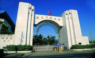 师范实习生教学心得5篇