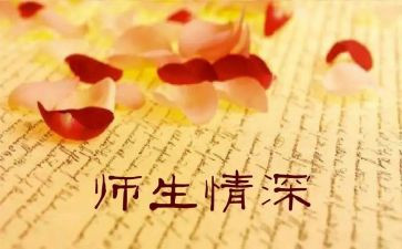 师生情的演讲稿7篇