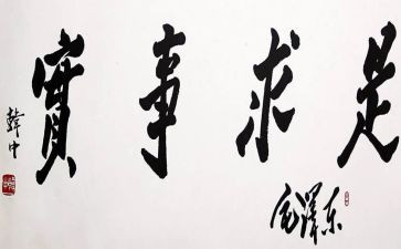 干实事的心得体会7篇