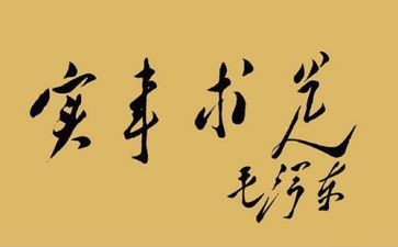 做实事活动总结8篇