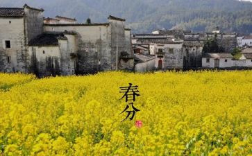 十四运学生演讲稿6篇