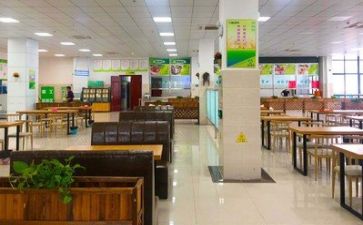 2024年食堂年终总结优质5篇