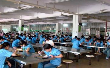 小食堂的工作计划精选8篇