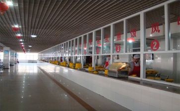 食堂的上半年工作总结5篇