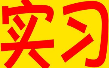 个人实习心得总结优质8篇
