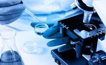 串的实验报告总结精选7篇