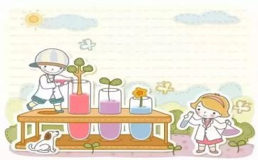 财务分析实验心得体会6篇