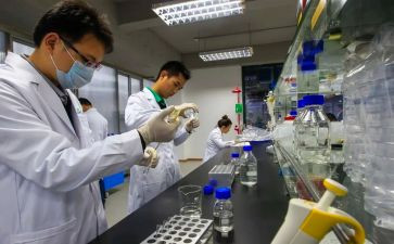 试验类工作总结范文6篇