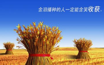 实习教师实习收获或心得7篇