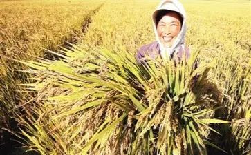 会计实习收获与心得8篇