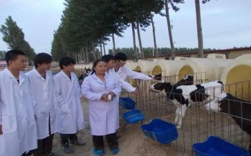 兽医师年度考核个人总结7篇